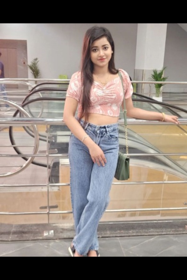 Sidcul call girl service